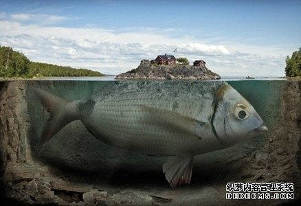 测试你的发疯指数