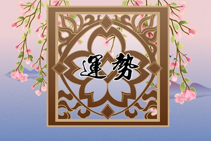 2024年属龙人佩戴什么 玉石手镯翡翠