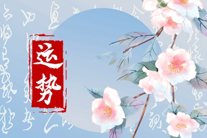 2024年属龙人佩戴什么 玉石手镯翡翠