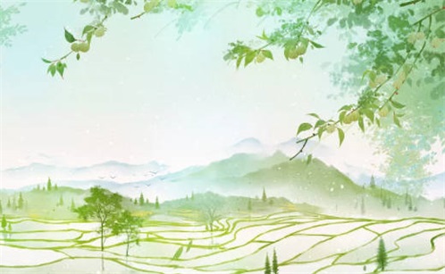 2024年属虎人佩戴什么 很适合虎眼石