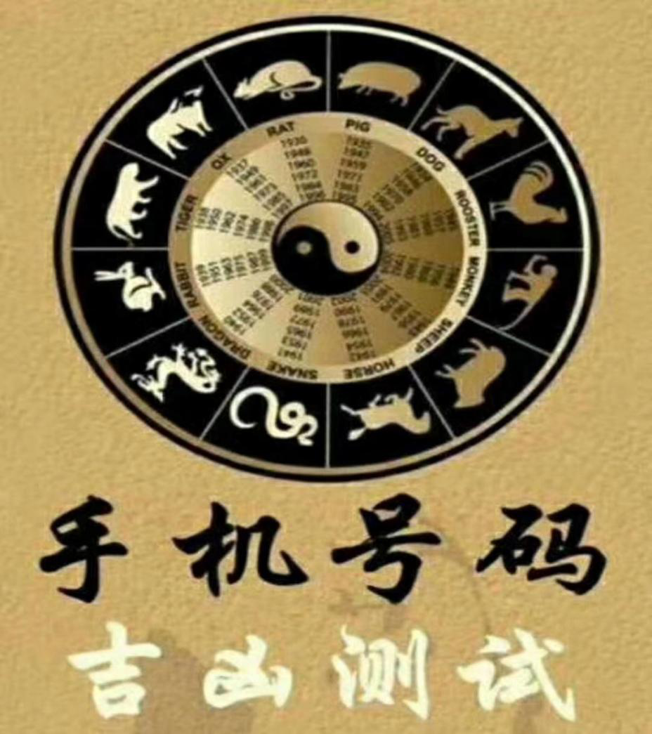 绝命加五鬼磁场-组合能量分析