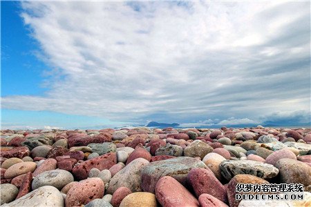 测你的职场有什么缺点