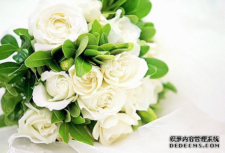 测试你的梦想和追求