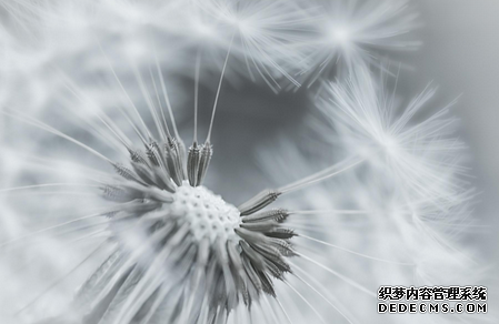 你适合持家还是立业
