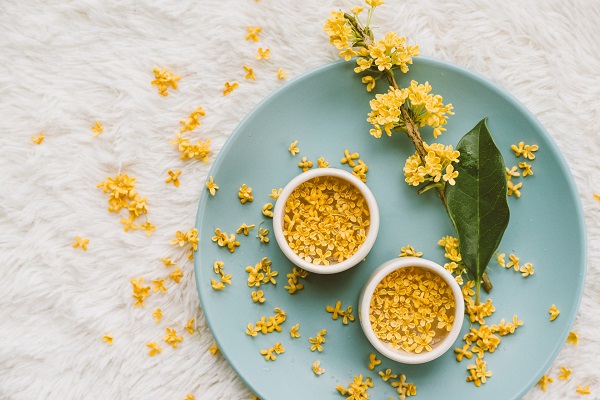 梦见桂花有什么预兆 梦见桂花好不好