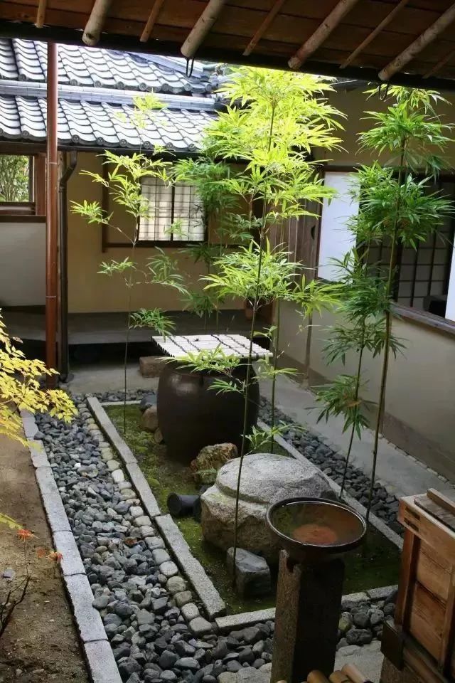 庭院风水怎么布局