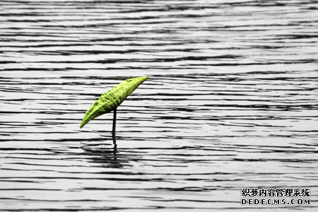 测你是否合群