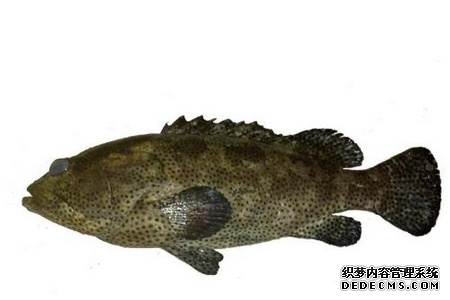 测你花钱的态度