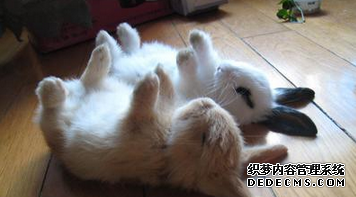 你能和上司打成一片吗?
