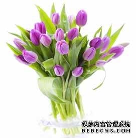 风水培训-室内摆放这些植物和花卉，房间风水迅速提升！-风水