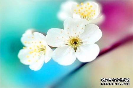 测朋友为啥会在背后说你的坏话