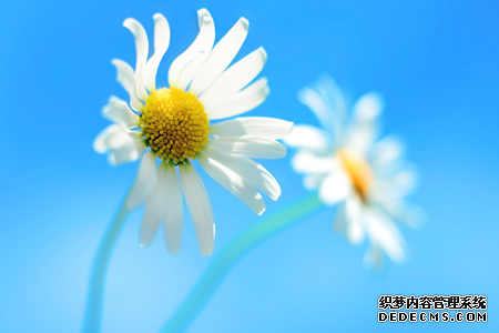 测测你报复心理有多强