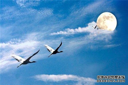 测试你能够很好的融入社会吗