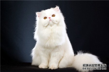 测你哪方面秒杀男生？