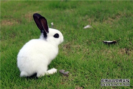 测你哪方面秒杀男生？