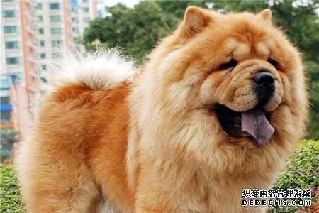 测你哪方面秒杀男生？