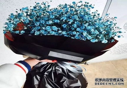 测试你足够谨慎吗？