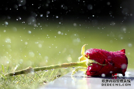 测你是否很讲义气