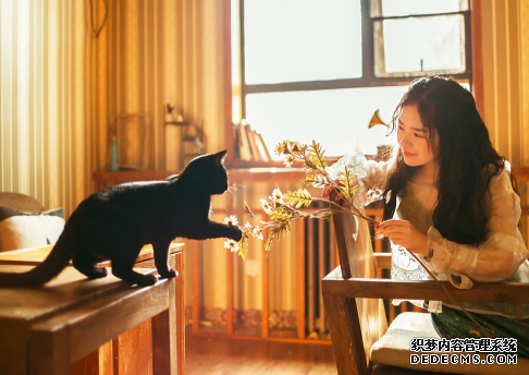 测婚后你成为辣妈指数