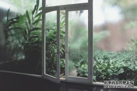 测测你哪方面最易被别人嫉妒