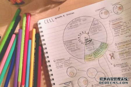 测你是什么类型的留学党