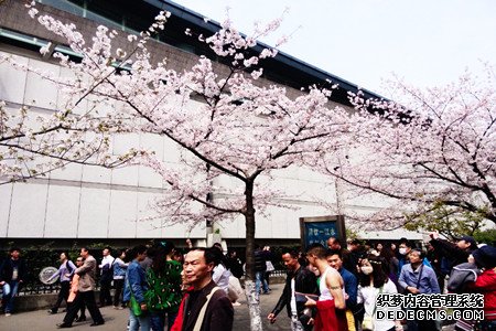 2015十大傻瓜有你么