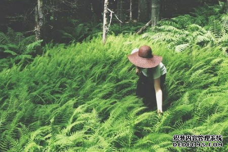 测你最近不开心的原因是什么