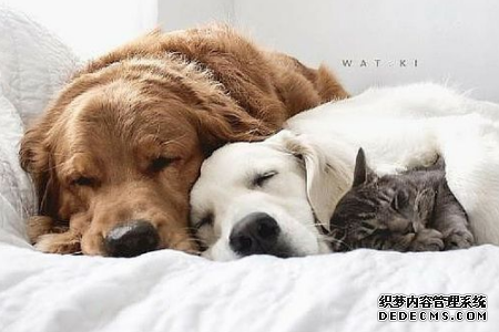 测你的厄运何时才能结束
