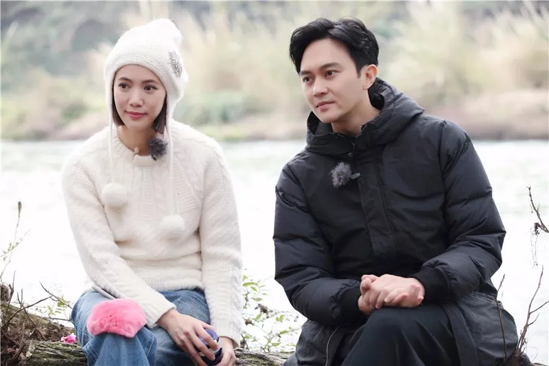 八字看婚姻:张智霖与袁咏仪结婚多年为何恩爱如初?