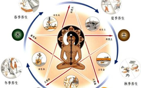 八字的阴阳五行分别提示了什么？